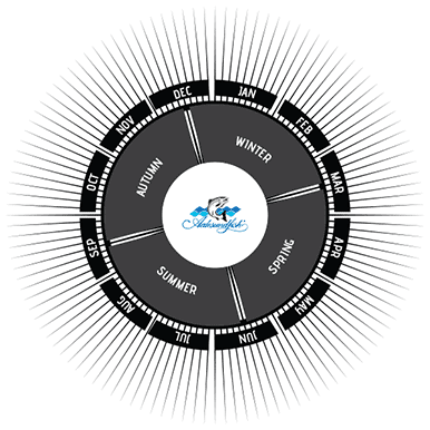 AalesundFish as Season Wheel
